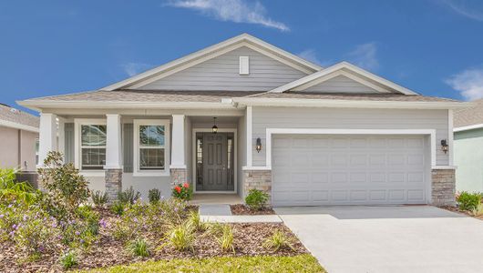 New construction Single-Family house 3182 Canopy Oak Boulevard, Wildwood, FL 34785 - photo 0