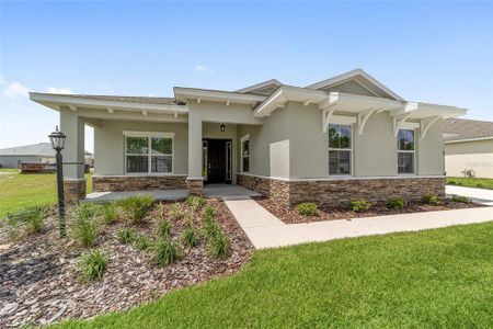 New construction Single-Family house 10079 Sw 106Th Cir, Ocala, FL 34481 - image