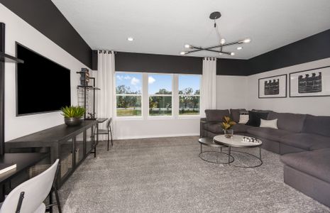 Vida's Way by Pulte Homes in Zephyrhills - photo 28 28