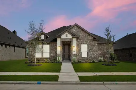 New construction Single-Family house 316 Freestall Dr, Midlothian, TX 76065 plan Salinas - image