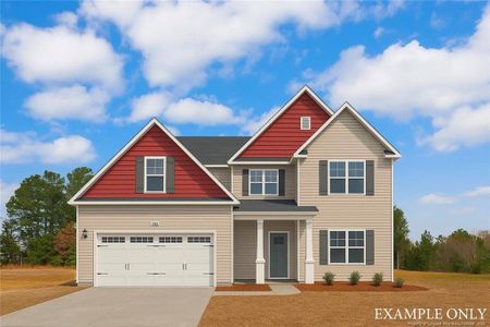 New construction Single-Family house 4005 Blue Springs Rd, Red Springs, NC 28377 - image