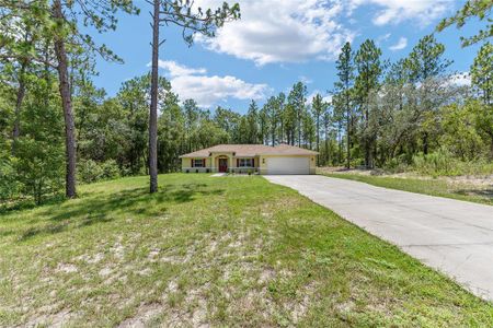 New construction Single-Family house 13160 Sw 89Th St, Dunnellon, FL 34432 - image 2