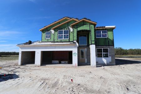 New construction Single-Family house 1787 Drummond Pt, Zephyrhills, FL 33541 Sonoma II- photo 86 86