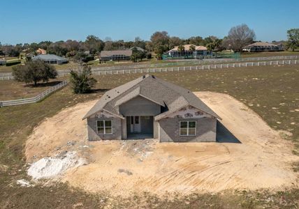 New construction Single-Family house 1382 N Hambletonian Dr, Hernando, FL 34442 null- photo 3 3