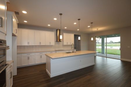 New construction Single-Family house 17030 Overstory Rd, Orlando, FL 32820 plan Grandview Sl - image 11