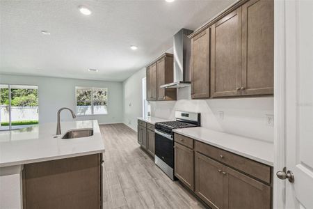 New construction Single-Family house 19679 Fort King Run, Brooksville, FL 34601 - image 9