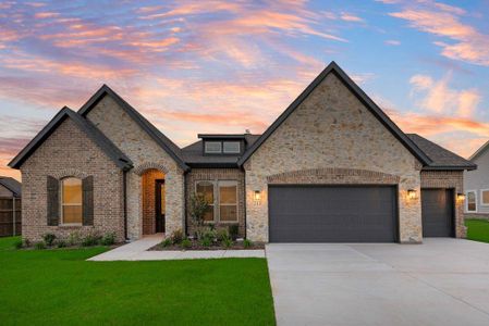 New construction Single-Family house 213 Meadow Vista Dr, New Fairview, TX 76078 Bluebonnet- photo 0