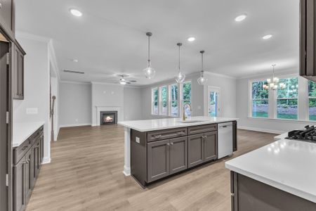 New construction Single-Family house 9101 Dupree Meadow Dr, Angier, NC 27501 plan The Hampton - image 12