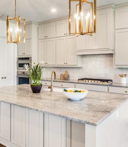 New construction Single-Family house 1001 Emery Ct, Weatherford, TX 76087 plan Parker Court - image 10