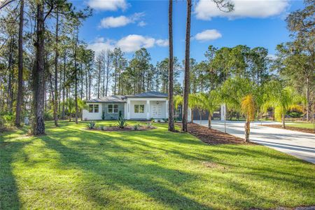 New construction Single-Family house 30626 Quince Ave, Eustis, FL 32736 - image