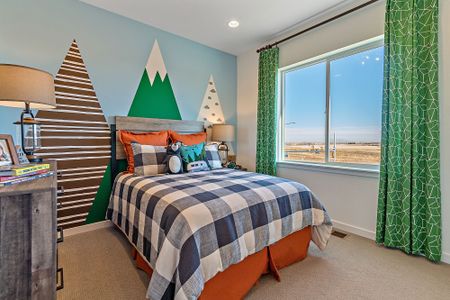Baseline Peaks Collection by David Weekley Homes in Westminster - image 9