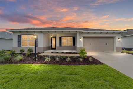 New construction Single-Family house 10061 SW 106th Ct, Ocala, FL 34481 plan Ariana - image