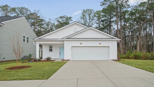 New construction Single-Family house 438 Cadbury Lp, Summerville, SC 29486 plan Colleton - image