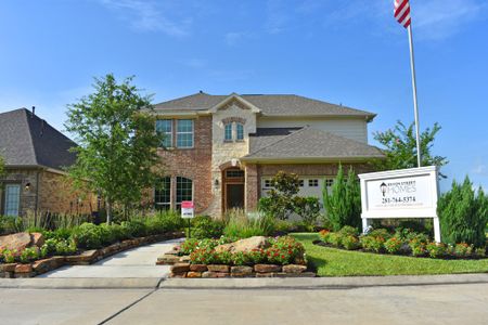 New construction Single-Family house 10007 Whitney Reach Drive, Iowa Colony, TX 77583 - photo 0