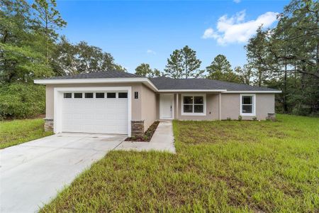 New construction Single-Family house 8673 N Paradisea Drive, Citrus Springs, FL 34433 - photo 0