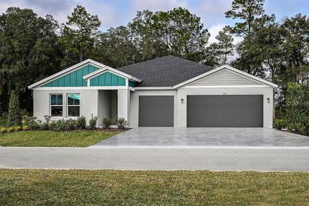 New construction Single-Family house 6200 Sw 97Th St, Ocala, FL 34476 plan Palmetto - image