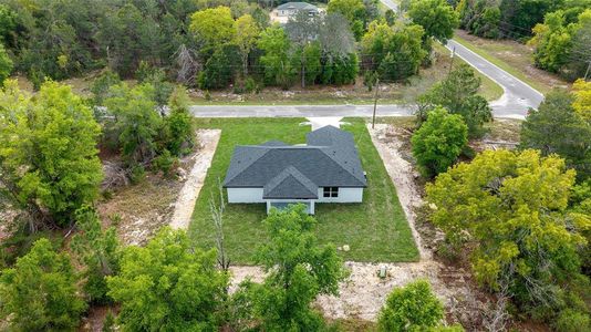New construction Single-Family house 5 Malauka Loop Trak, Ocklawaha, FL 32179 - image