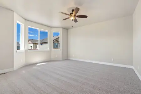 New construction Single-Family house 948 Rhapsody Dr, Windsor, CO 80550 plan Hamilton - image