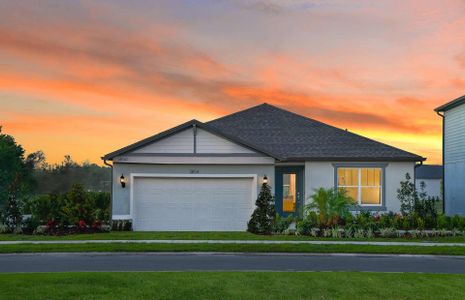 New construction Single-Family house 12817 Blue Reflection Ave, Parrish, FL 34219 plan Hanover - image