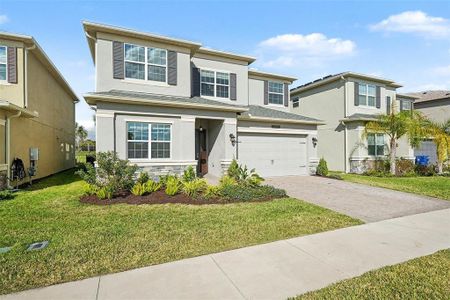 New construction Single-Family house 32745 Tamarind Grove Ln, Wesley Chapel, FL 33543 - image