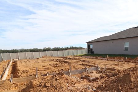 New construction Single-Family house 12294 Hilltop Farms Dr, Dade City, FL 33525 Malibu- photo 6 6