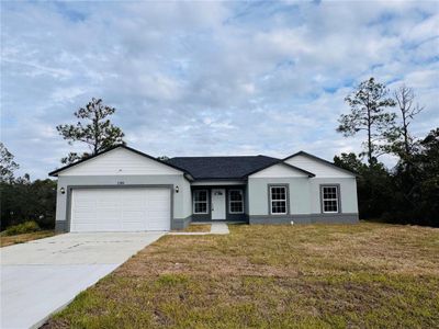 New construction Single-Family house 1310 Homosassa Dr, Kissimmee, FL 34759 - image