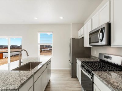 New construction Single-Family house 1022 Odessa Lake Rd, Severance, CO 80550 null- photo 9 9