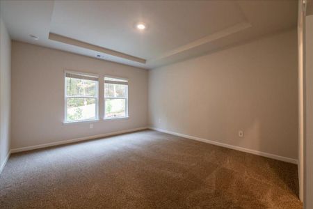 New construction Single-Family house 155 Ivey Township Dr, Dallas, GA 30132 Sherwood Basement- photo 28 28