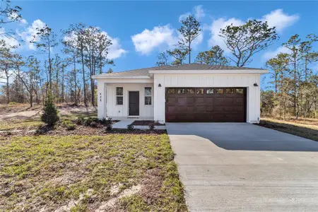 New construction Single-Family house 23430 Sw Neptune Blvd, Dunnellon, FL 34431 - image