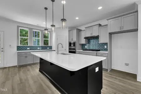 New construction Single-Family house 9152 Dupree Meadow Dr, Unit 12, Angier, NC 27501 - image 6