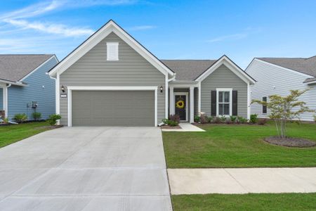 New construction Single-Family house 234 Garden Gate Way, Summerville, SC 29486 null- photo 0 0