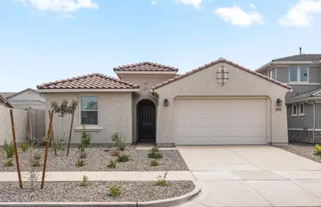 New construction Single-Family house 1275 W Saddle Run, Apache Junction, AZ 85120 plan Rimini - image