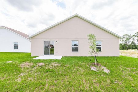 New construction Single-Family house 989 Lunar Ln, Winter Haven, FL 33884 - image 2