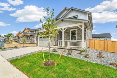 New construction Single-Family house 15468 Kearney St, Thornton, CO 80602 - image
