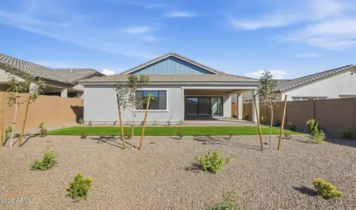 New construction Single-Family house 20421 W Rovey Ave, Buckeye, AZ 85396 plan Cardinal - image 3
