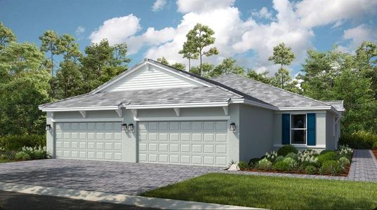 New construction Single-Family house 3217 Torta Ct, Bradenton, FL 34211 plan Ibis - image