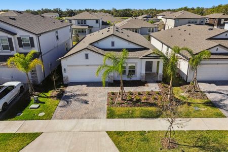 New construction Single-Family house 5595 Freesia Dr, Lakeland, FL 33811 plan Picasso - image