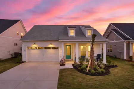 New construction Single-Family house 143 Summerwind Dr, Summerville, SC 29486 plan Traveler - image
