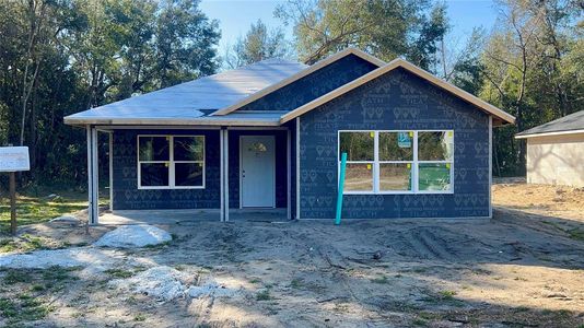 New construction Single-Family house 2998 Se 140Th Ln, Summerfield, FL 34491 null- photo 0