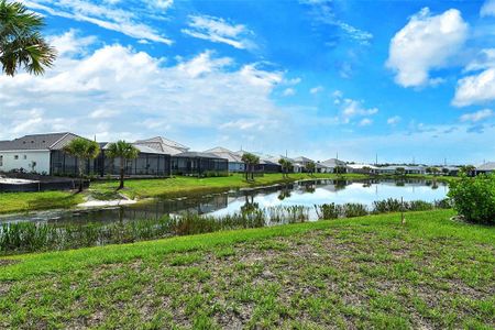 New construction Single-Family house 2592 Dasheen Pl, Sarasota, FL 34240 Liberty 4- photo 35 35