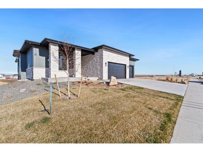 New construction Single-Family house 1722 Fire Glow Dr, Windsor, CO 80550 - image