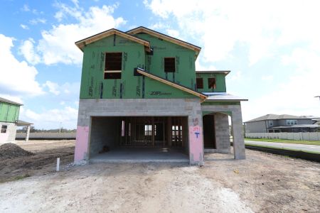 New construction Single-Family house 3070 Adams Cross Dr, Zephyrhills, FL 33540 Castellana- photo 22 22