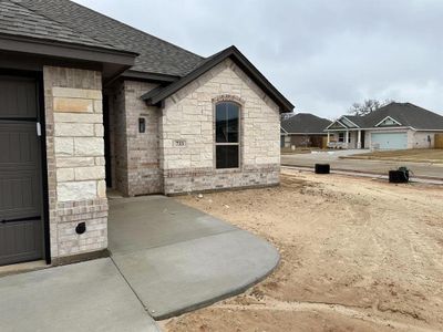 New construction Single-Family house 733 Jameson, Springtown, TX 76082 null- photo 1 1