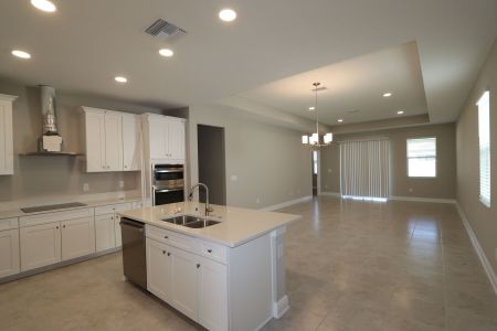 New construction Single-Family house 4763 Beachrose Way, Lakeland, FL 33811 Picasso- photo 31 31