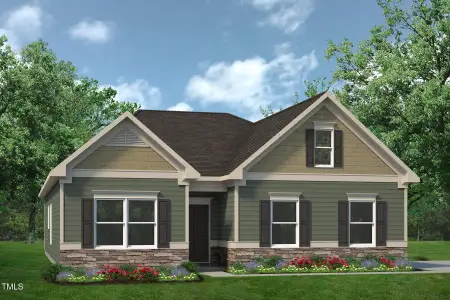 New construction Single-Family house 195 E American Marigold Dr, Benson, NC 27504 - image