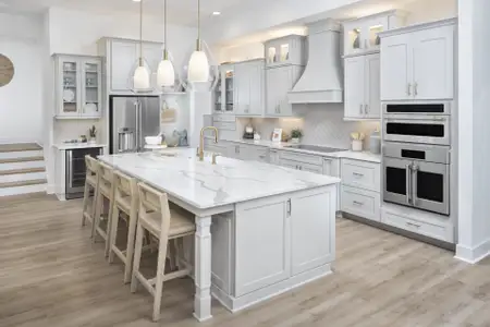 New construction Single-Family house 3022 Eagles Flight Pl, Brandon, FL 33511 plan Cedar Key II - image 7