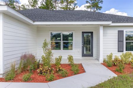 New construction Single-Family house 2495 Sw 141St Ct, Ocala, FL 34481 - image