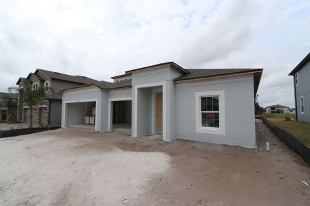 New construction Single-Family house 5050 Bromeliad Ave, Wimauma, FL 33598 Barcello Bonus- photo 60 60