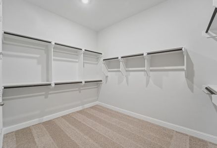 New construction Single-Family house 5151 Silverbell Ln, Montgomery, TX 77316 plan 5019 Elevation D - image 15