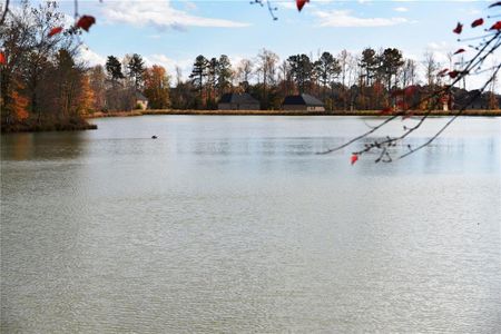 New construction Single-Family house 2364 Britt St, Grayson, GA 30017 null- photo 10 10